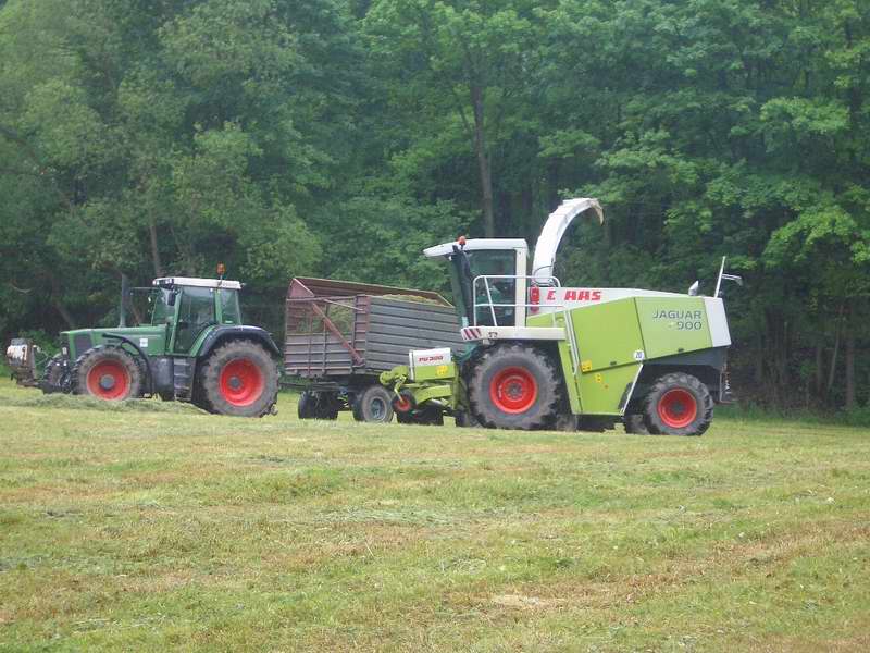 jaguar_fendt_824_16.jpg