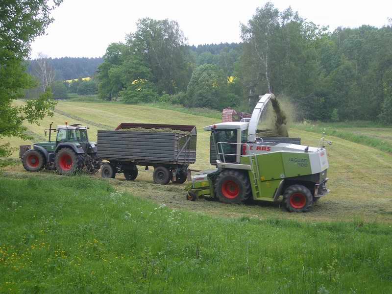 jaguar_fendt_824_zt_303_3.jpg