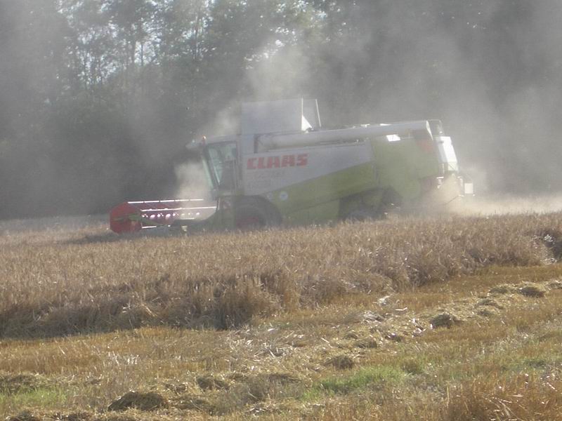 lexion_10.jpg