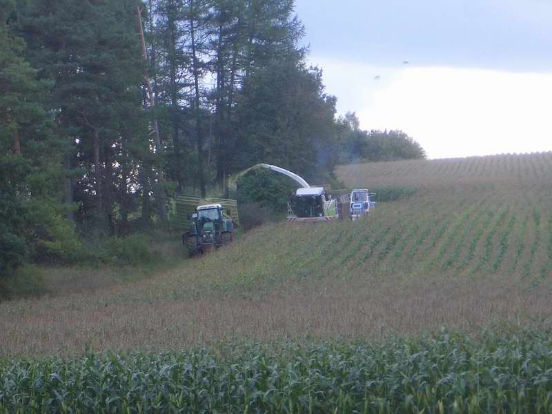 jaguar_fendt_zt_303_6.jpg