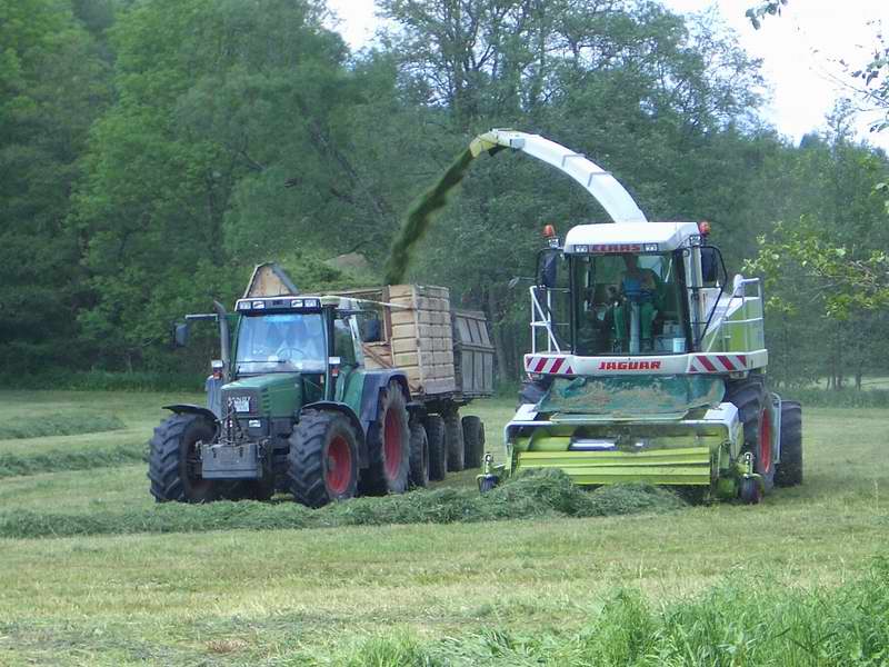 jaguar_fendt_514_2.jpg