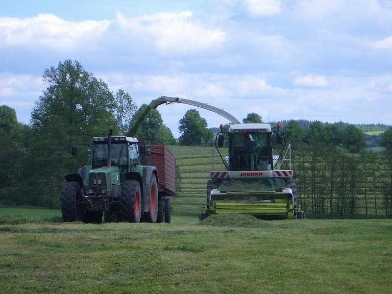 jaguar_fendt_824_5.jpg