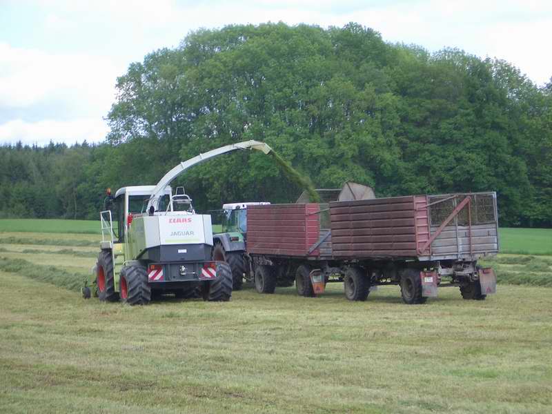 jaguar_fendt_824_6.jpg