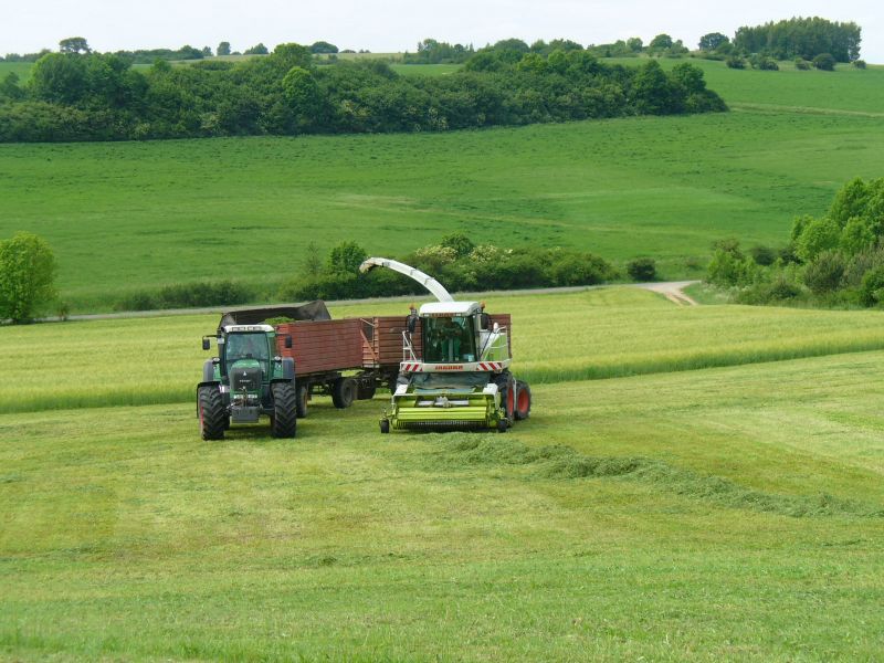 bilder/18_8_2005/lexion_fendt_4.jpg