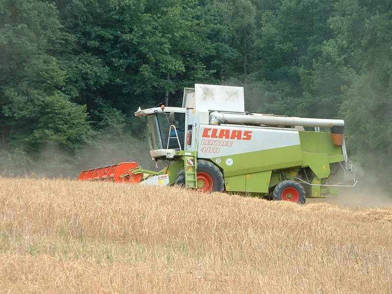 lexion_16.jpg