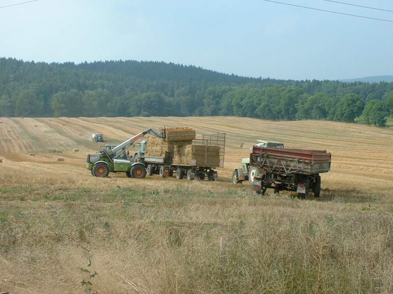ranger_+_fendt_824_+_fendt_716_+_zt_303.jpg