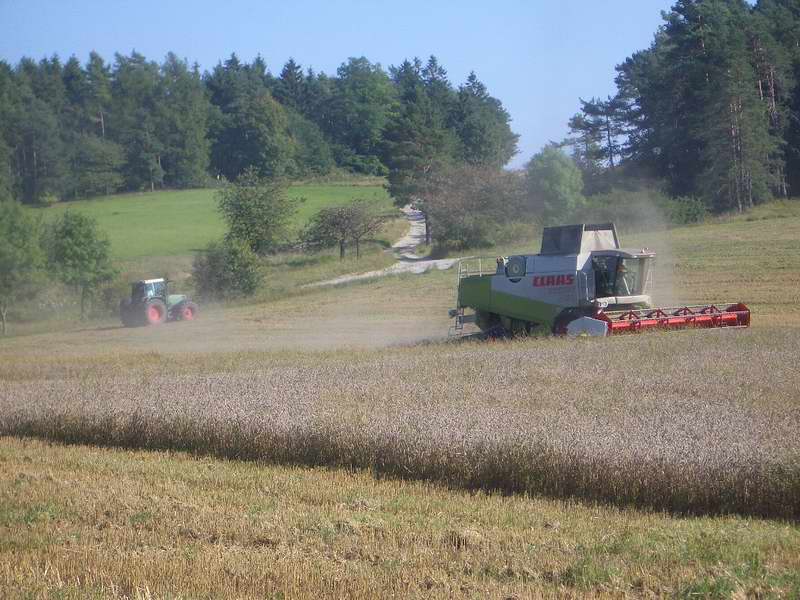 bilder/31_8_2005/lexion_fendt_5.jpg