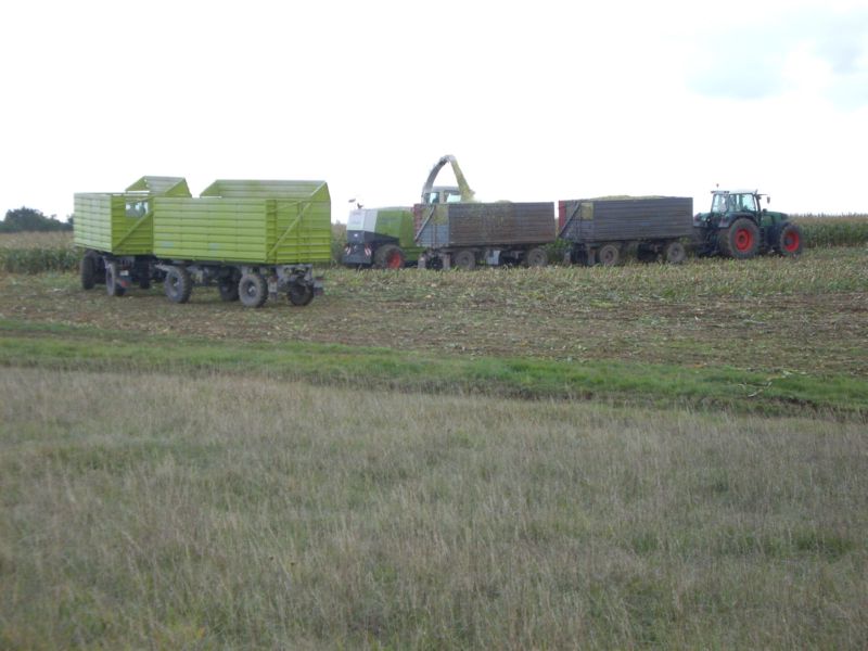 bilder/24_8_2002_1/lexion_+_mega_+_fendt_824_+_w50_2.jpg