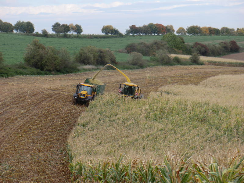 bilder/3_8_2002/lexion_+_mega_+_fendt_716_+_gendt_514_+_w50.jpg