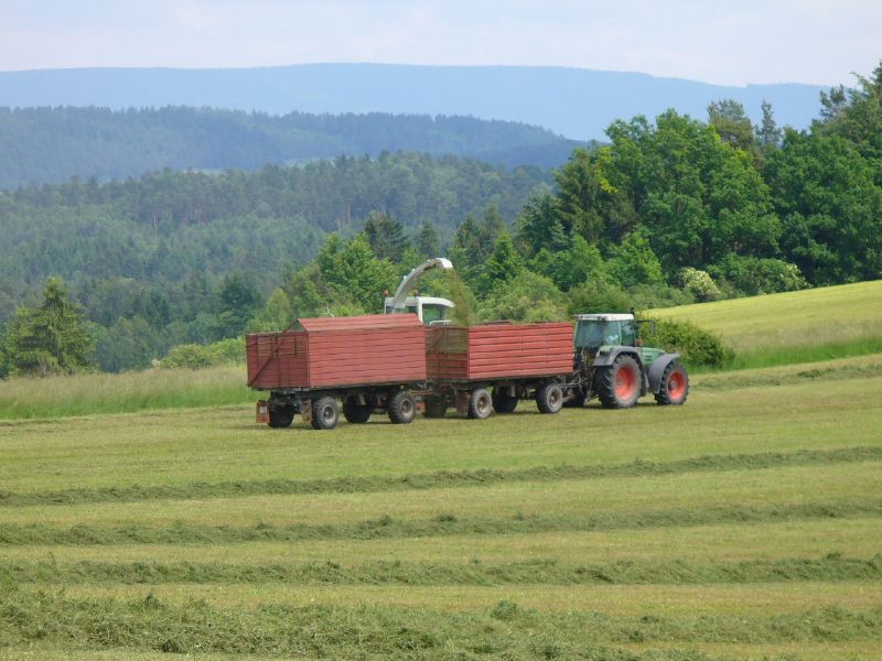 bilder/31_8_2002/ranger_+_fendt_716.jpg