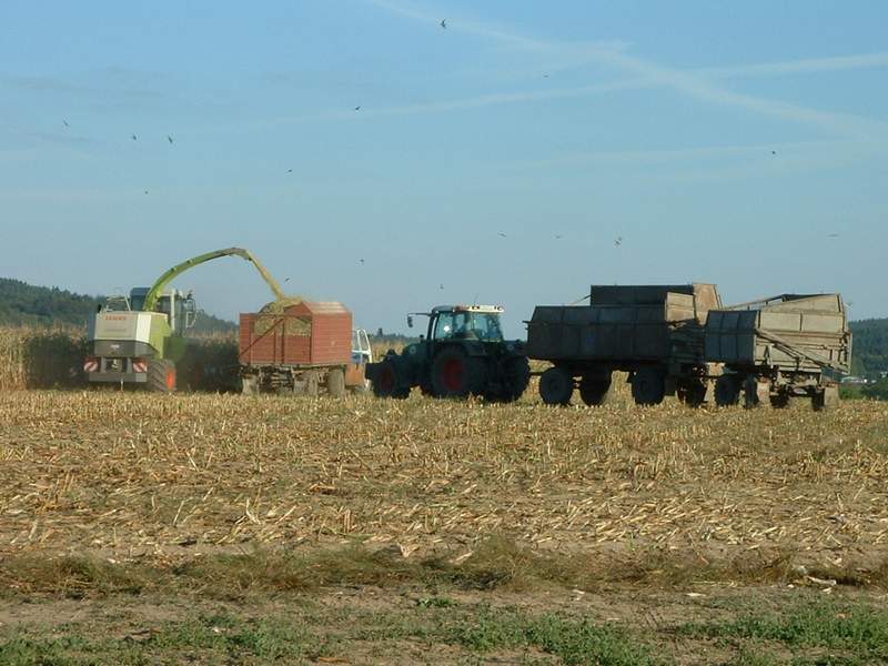 bilder/25_7_2001/lexion_6.jpg