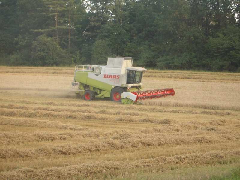 bilder/3_9_2004/lexion_10.jpg