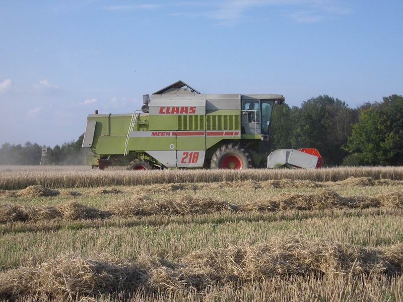 bilder/16_9_2003/fendt_4.jpg