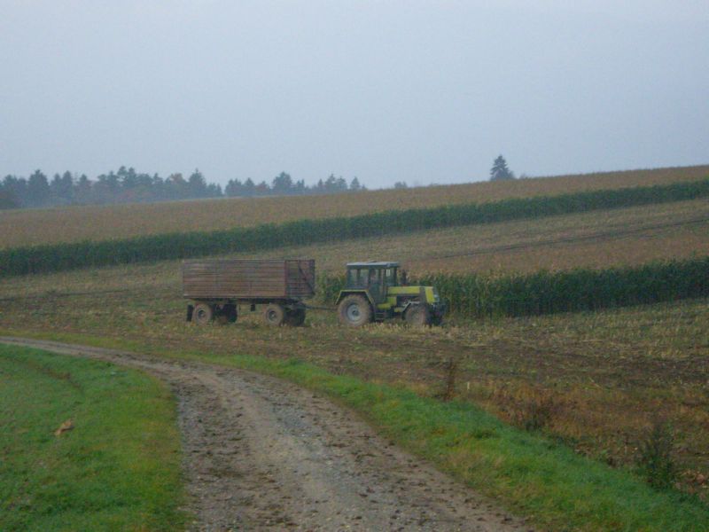 IMGP3297.jpg
