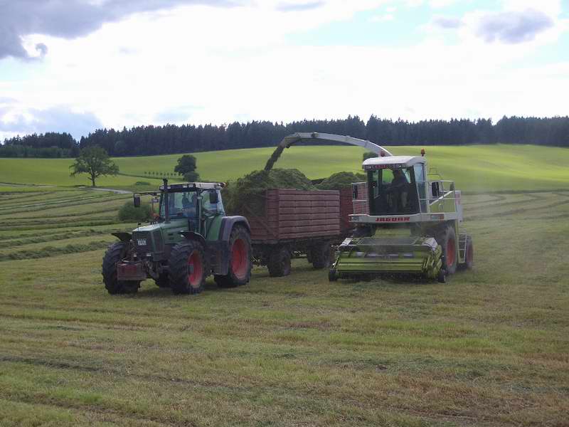 bilder/4_6_2005/fendt_824_3.jpg