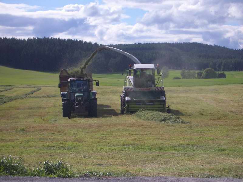 jaguar_fendt_514.jpg