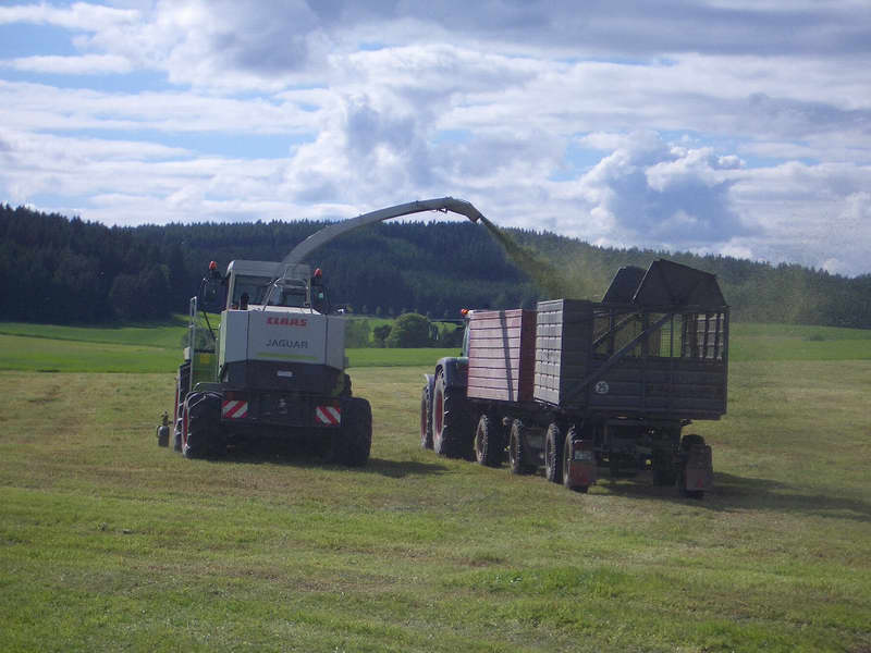 jaguar_fendt_824_2.jpg