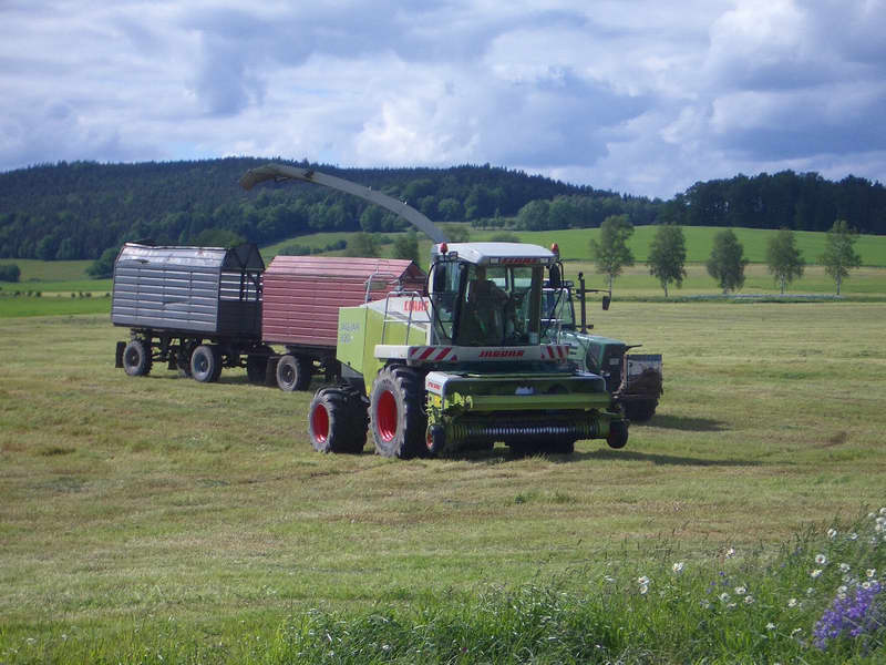 jaguar_fendt_824_3.jpg