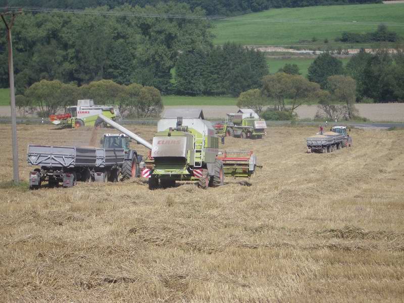 bilder/4_9_2004/lexion_2x_mega_2x_fendt.jpg