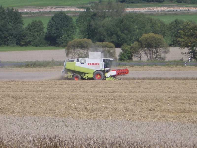 lexion_4.jpg