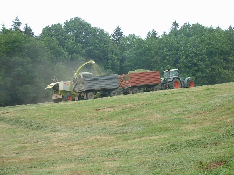 jaguar_+_fendt_824_14.jpg