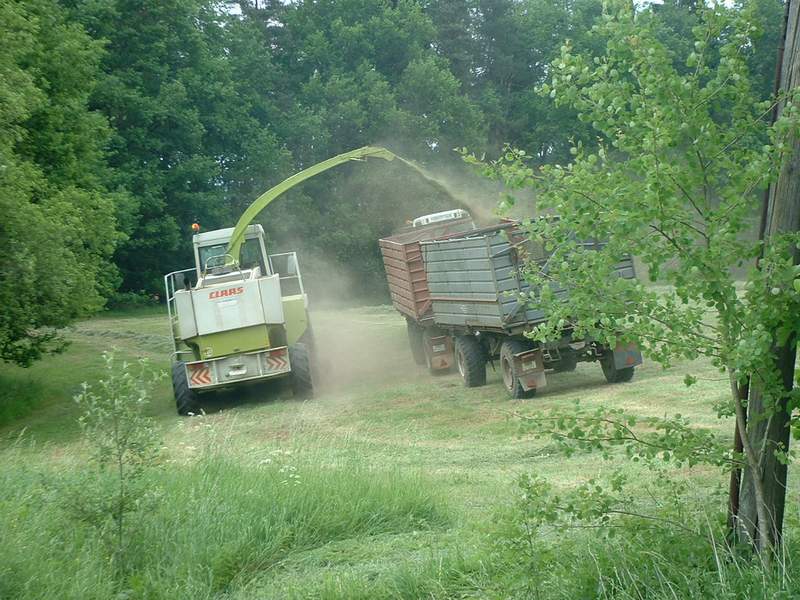 jaguar_+_fendt_824_2.jpg