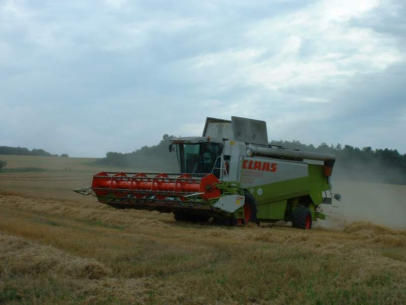 bilder/6_8_2002_3/lexion_3.jpg