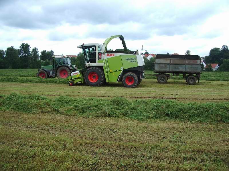 Jaguar_900_Fendt_514.jpg