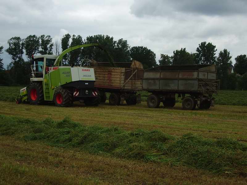 Jaguar_900_Fendt_514_2.jpg