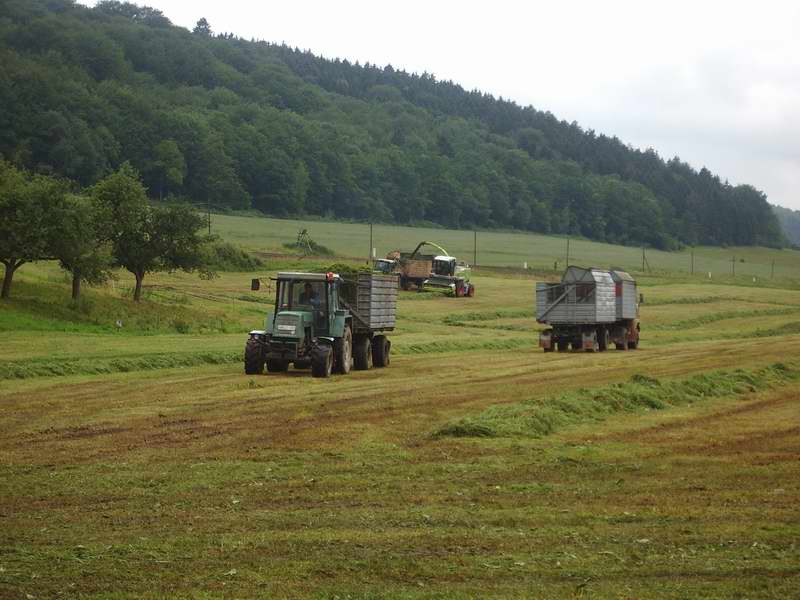 Jaguar_900_Fendt_514_W50_ZT_323.jpg