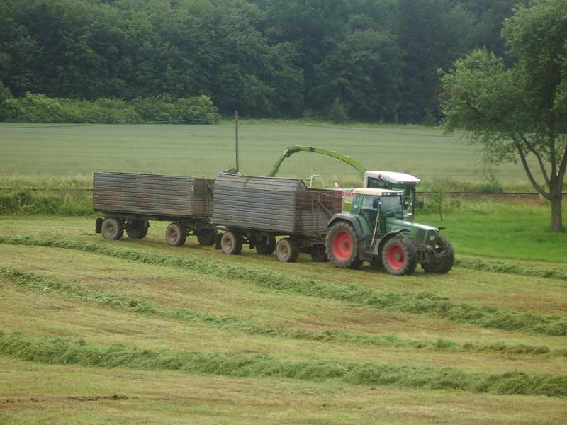 Jaguar_900_Fendt_824_02.jpg