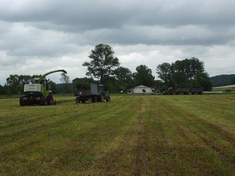 Jaguar_900_ZT_323_Fendt_824.jpg