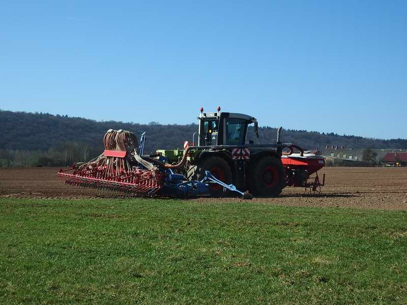 bilder/Fabian/1_2_4_2005/xerion_6.jpg