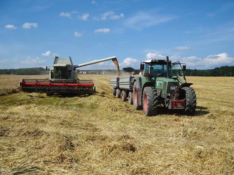 Lexion_Fendt_824.jpg