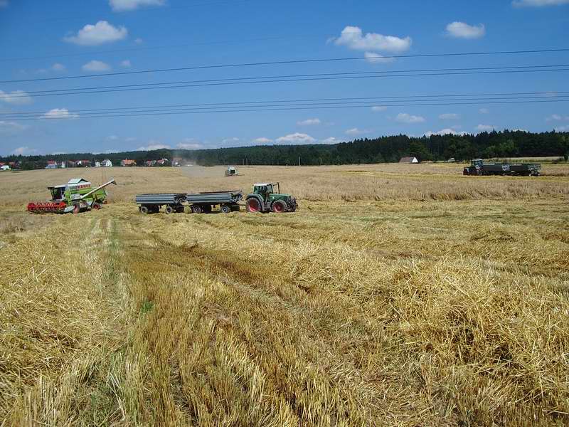 Lexion_Mega_2x_Fendt_824.jpg